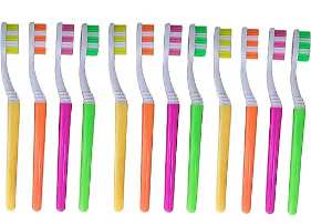 Pack. Of 12 brush medium soft bristles premium quality product.